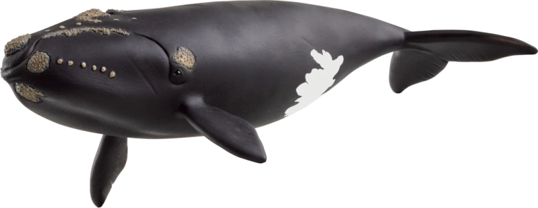 Schleich animal – balenă dreaptă nord-atlantică