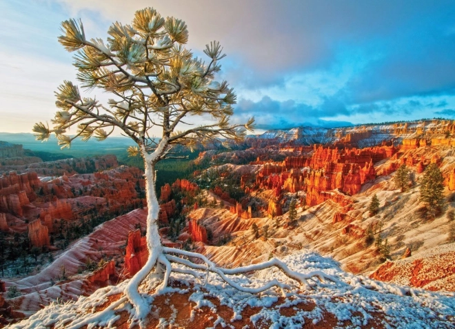Puzzle EUROGRAPHICS răsărit de iarnă, Bryce Canyon (1000 piese)