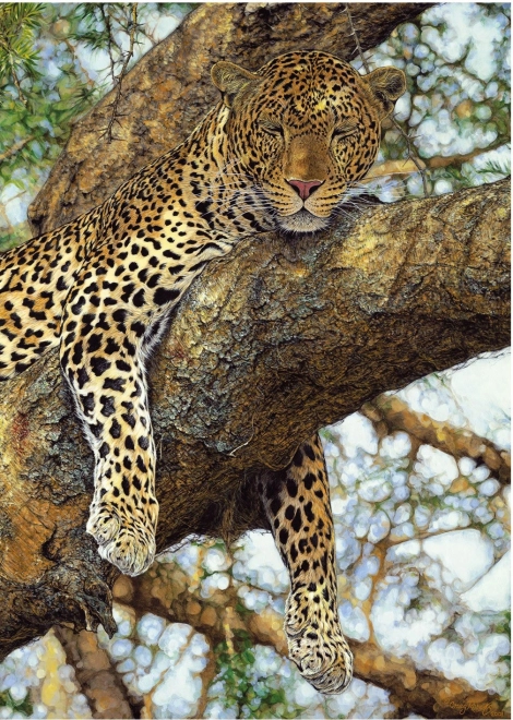 Puzzle Leopard 1000 de piese