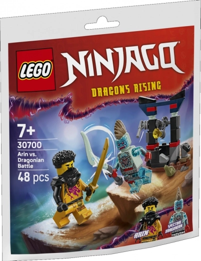 Cărămizi NINJAGO bătălia lui Arin cu dragonul