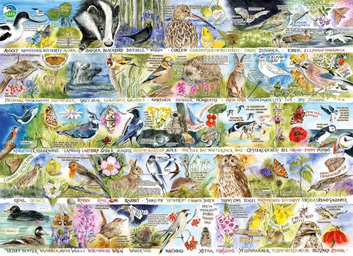 Puzzle GIBSONS RSPB farmecul naturii de primăvară 1000 piese