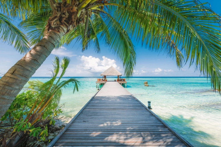 Puzzle plaja de vis din Maldive, 4000 de piese