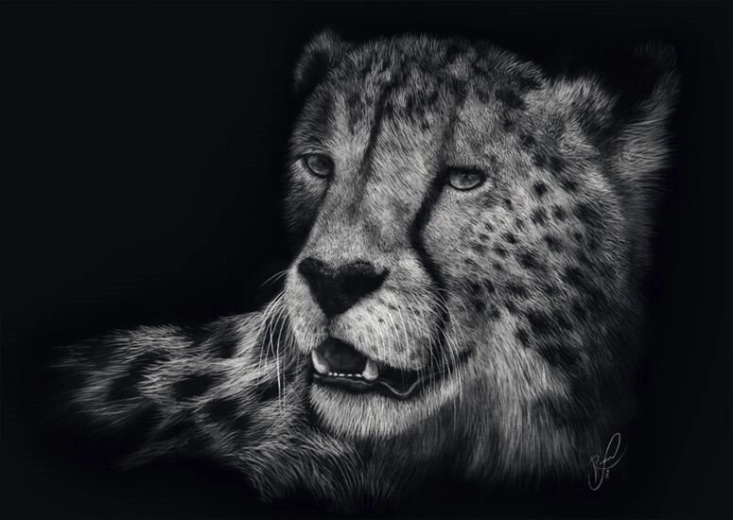 Puzzle Viteza ghepardului 1000 piese SCHMIDT