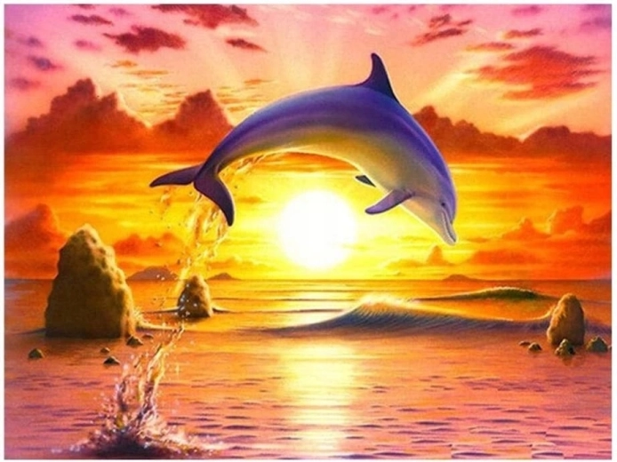 Norimpex Pictură pe numere Delfin sărind la apus 40 × 50 cm