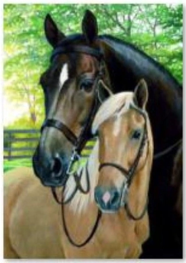 Broderie cu diamante (diamond painting) cai 30 × 40 cm