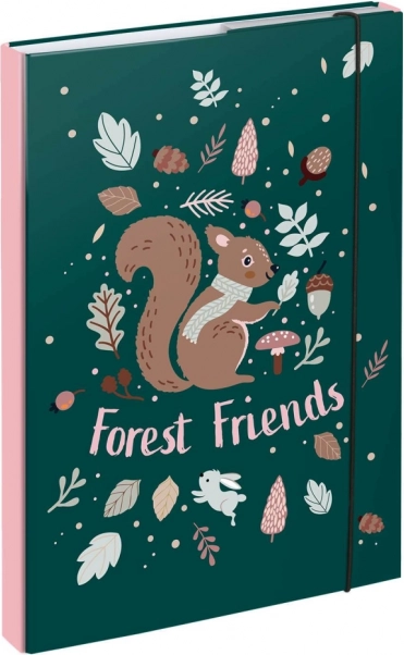 Mape pentru caiete școlare A4 cu motiv veveriță BAAGL