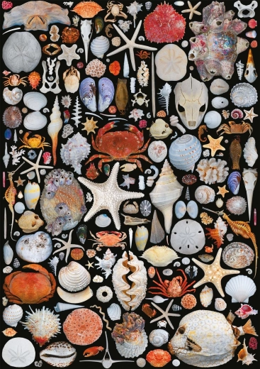 Puzzle De pe plajă 1000 piese PIATNIK