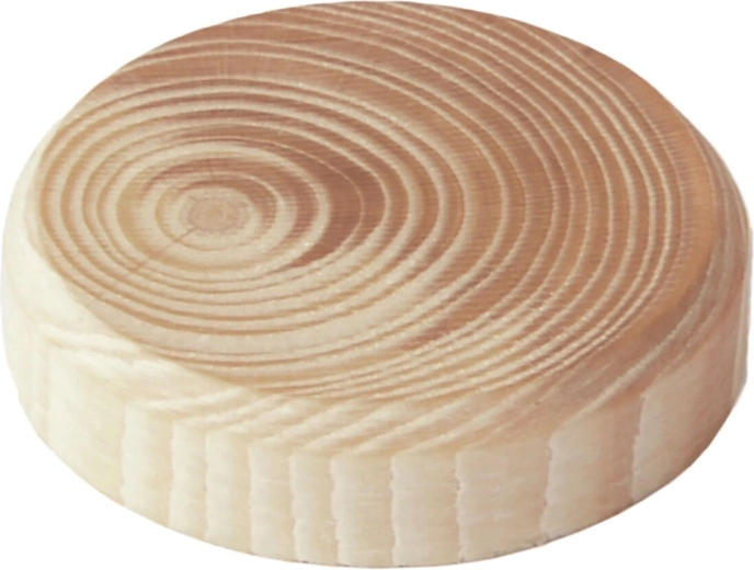 Noduri de ramificație din lemn 30 × 7 mm, pachet 10 buc