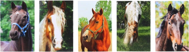 Bloc cu motiv Cal MINI 40l, 6x8,5 cm