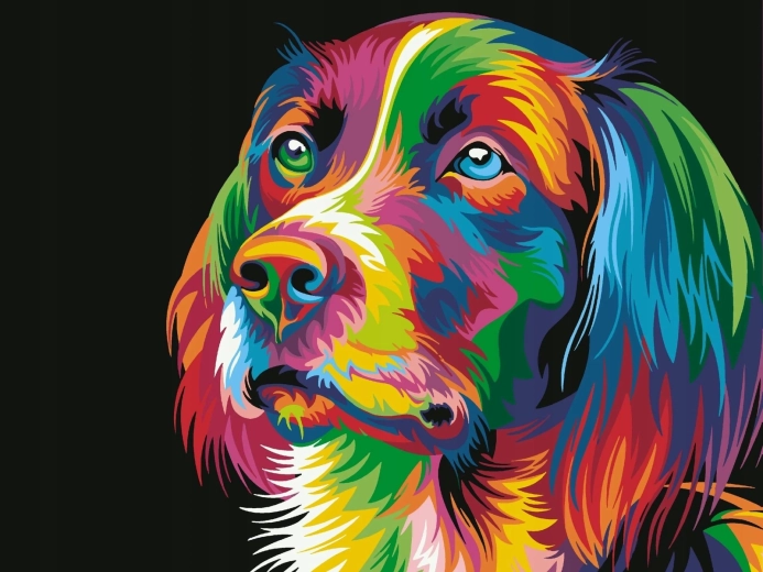 Norimpex Pictură după numere Câine colorat 40 × 50 cm