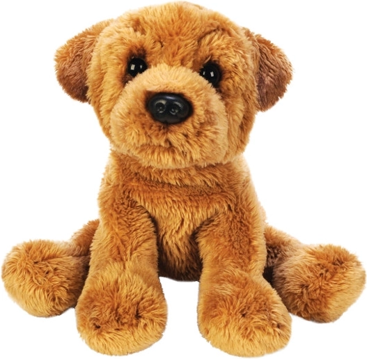 Câine de pluș Shar pei