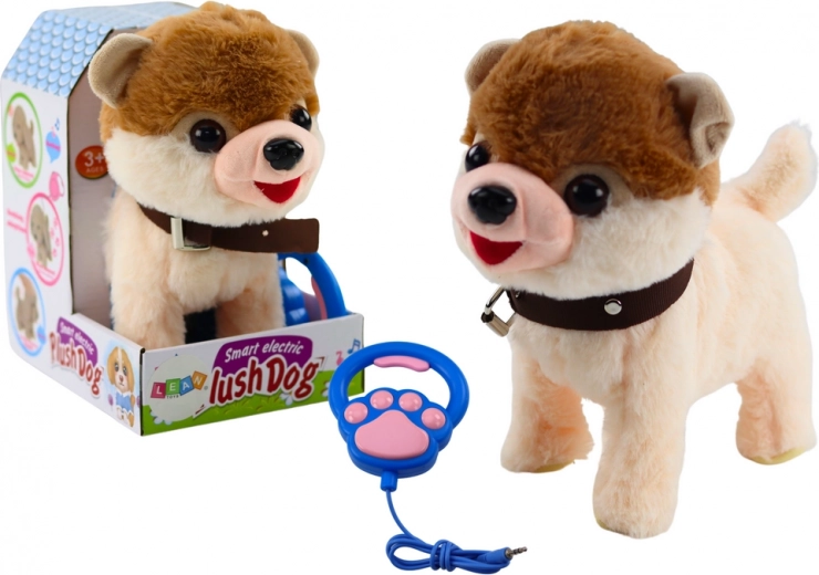 Căţel interactiv pe lesă