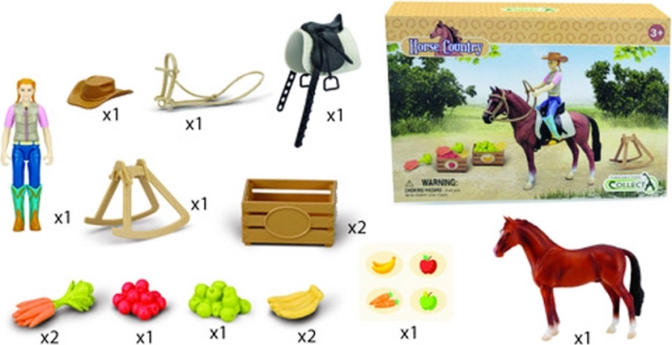 Călăreață cu armăsar hanoverian și accesorii