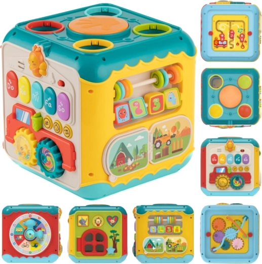 Cub activ Montessori 6în1