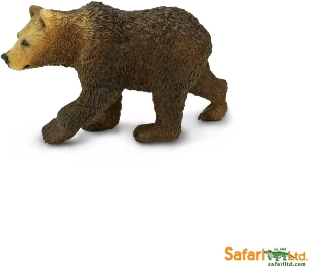 Urs grizzly – pui