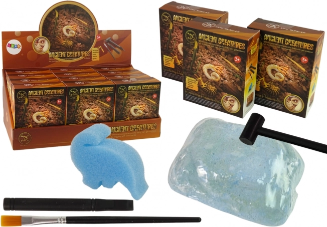 Săpături ale creaturilor antice – surpriză amonit