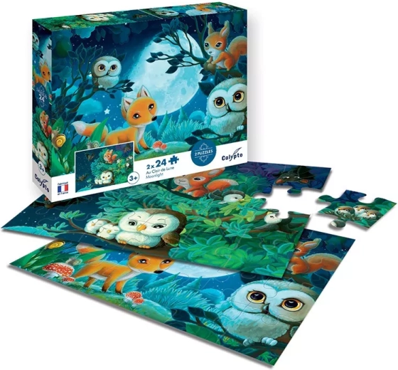 Sentosphere puzzle la lumina lunii