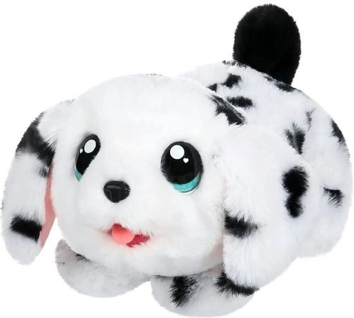 Dalmațian adorabil, gata de răsfăț