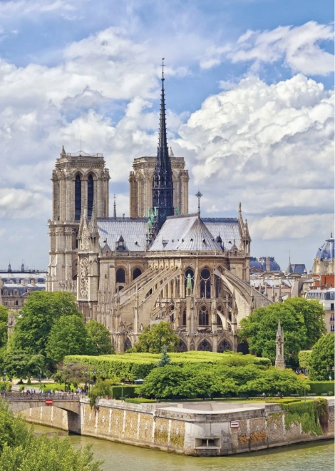 Puzzle 1000 piese Notre-Dame de la Dino