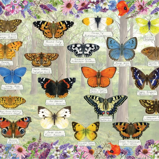Puzzle Magnifici Fluturi 1000 de piese
