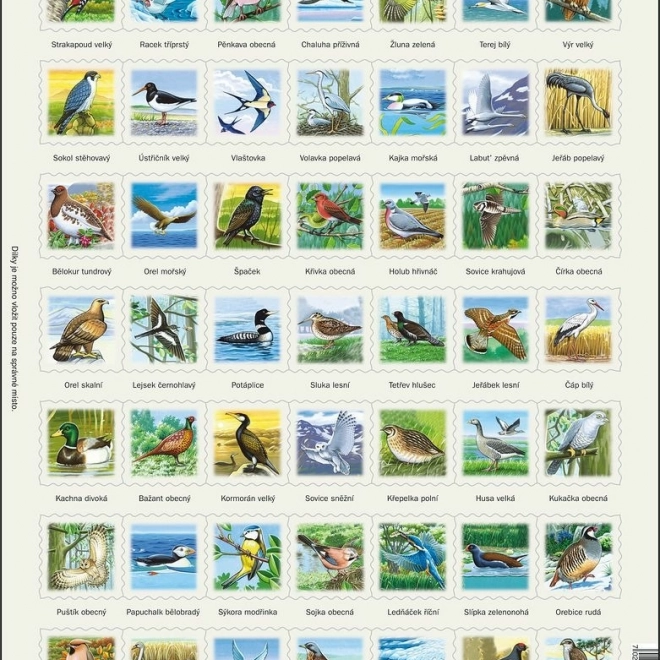 LARSEN puzzle Păsări – puzzle educativ în ramă, 49 de piese