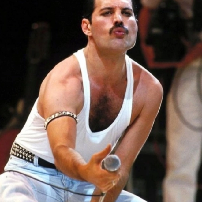 Pictură diamantată Freddie Mercury 30x40 cm