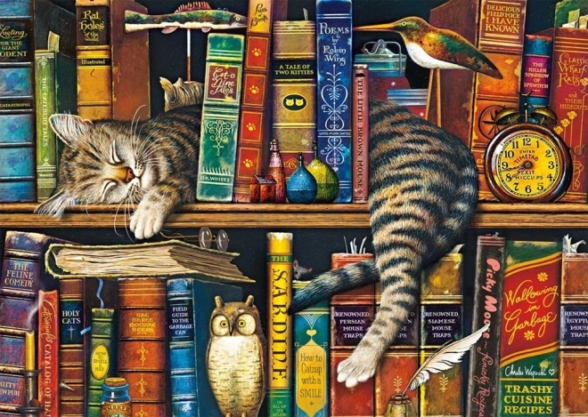 Puzzle 1000 piese Frederick Gramotný de la SCHMIDT