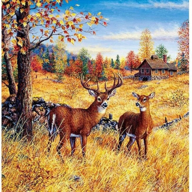 Pictura cu diamante Cerbi pe câmp 30x40 cm