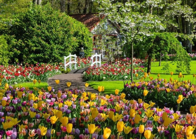 Puzzle 1000 piese RAVENSBURGER – Grădinile frumoase Keukenhof, Țările de Jos