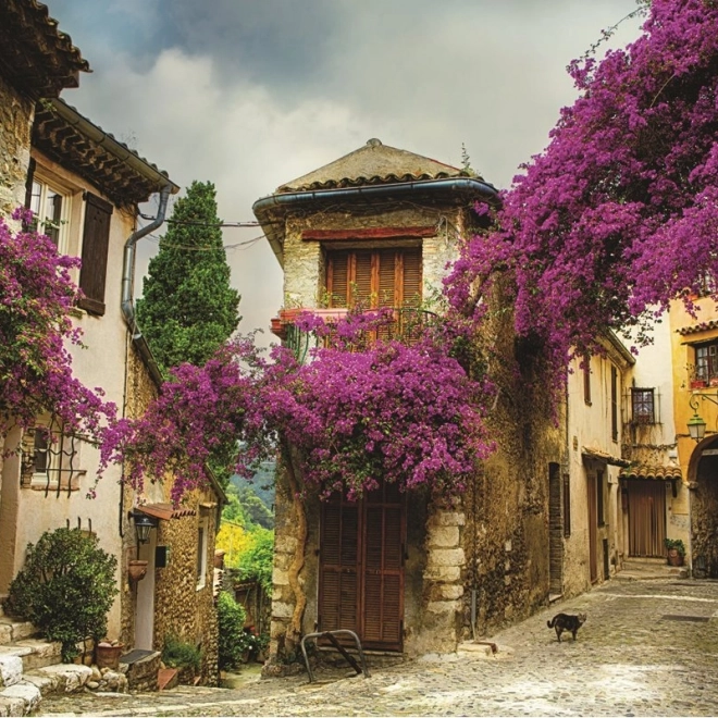Puzzle ANATOLIAN Orașul Vechi 1500 piese