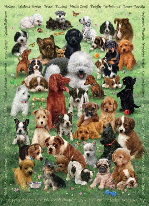 COBBLE HILL puzzle de familie Dragoste de cățeluși – 350 de piese