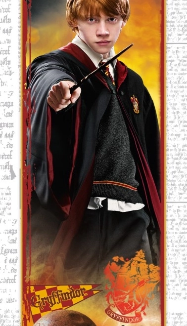 Puzzle HARRY POTTER – Ron, 300 piese