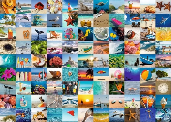 Puzzle RAVENSBURGER 99 momente la mare 1000 piese