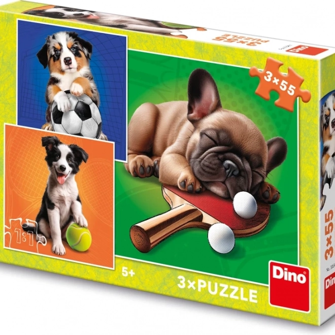 Puzzle Sportivi canini 3×55 piese