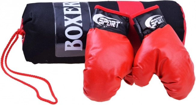 set de box cu mănuși și sac de box