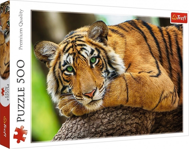 Puzzle Portret tigru 500 piese