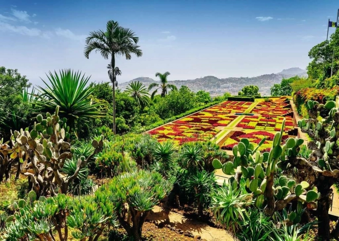 Puzzle 1000 piese Grădina botanică Madeira Portugalia RAVENSBURGER