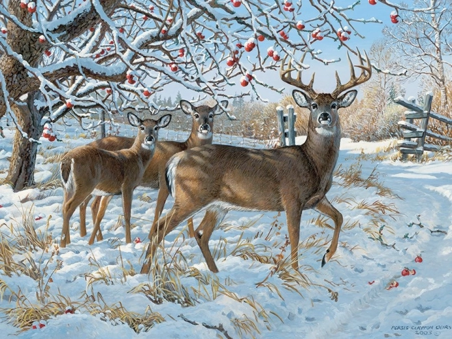 Puzzle Cerbi în iarnă 500 piese