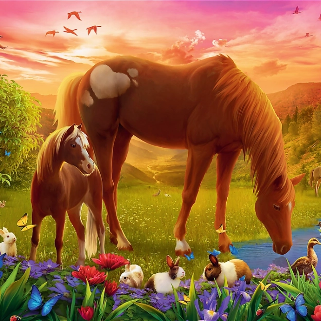 Puzzle 500 piese Konji pe pajiște