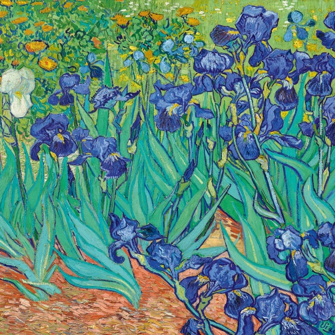 Puzzle Iriși (1889) 3000 piese BLUEBIRD