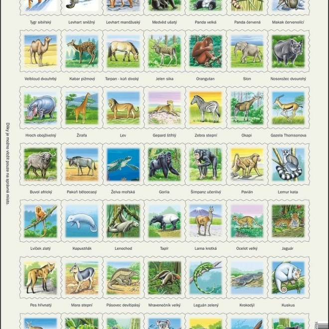 LARSEN puzzle Animalele lumii – 49 piese