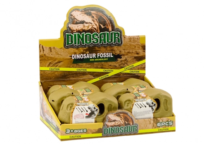 Set arheologic descoperiri dinozauri fosile craniu