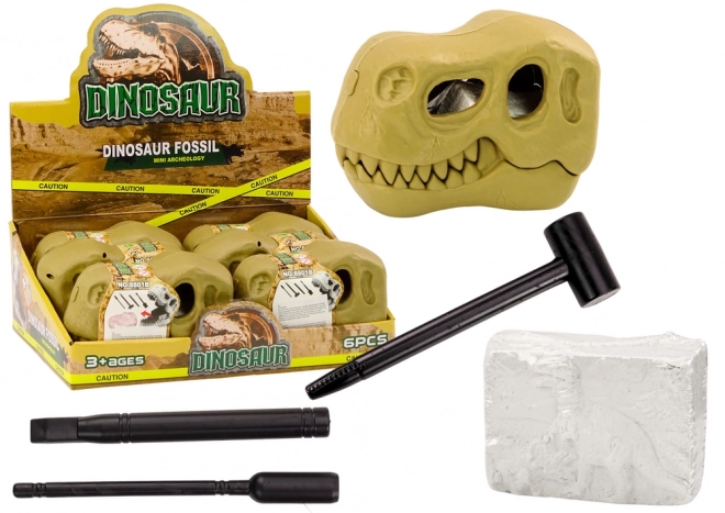 Set arheologic descoperiri dinozauri fosile craniu