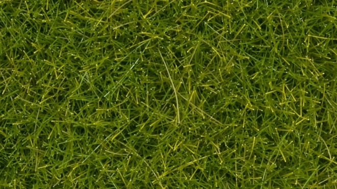 Iarbă statică Noch sălbatică verde deschis 12 mm