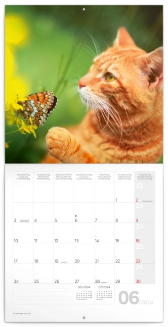 Calendar de perete pisici 2024