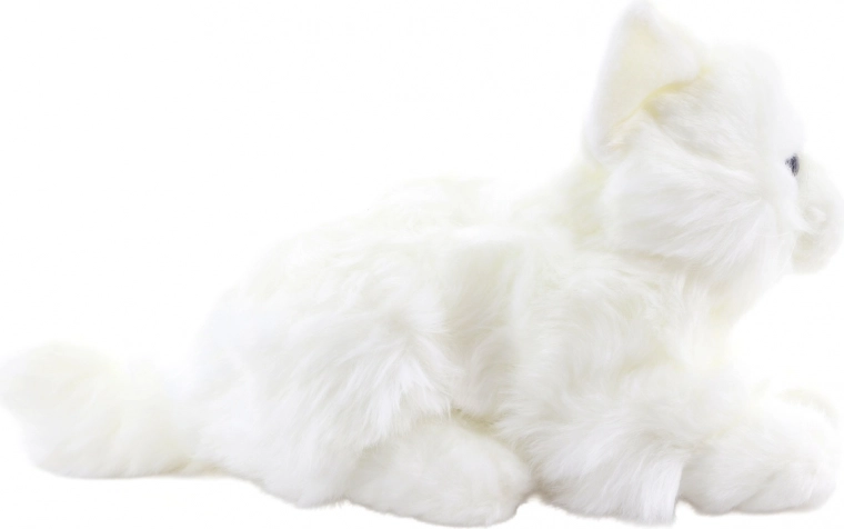 Compactă și de călătorie