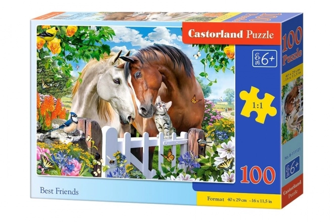 Puzzle 100 de piese Prieteni Buni