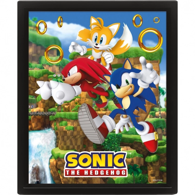 Tablou 3D Sonic Catching Rings