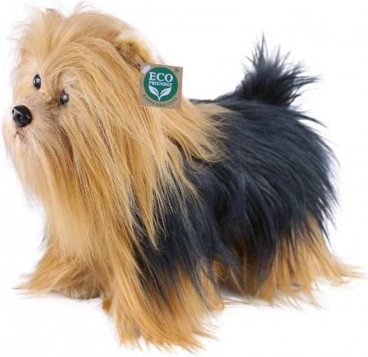 Blană lungă realistă și detalii adorabile