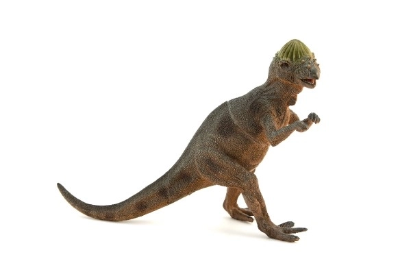 Dinozaur din plastic 47cm 6 modele în cutie